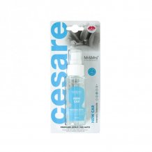 Mr&Mrs Fragrance Cesare Spray New Car